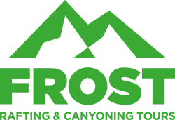 Logo footer